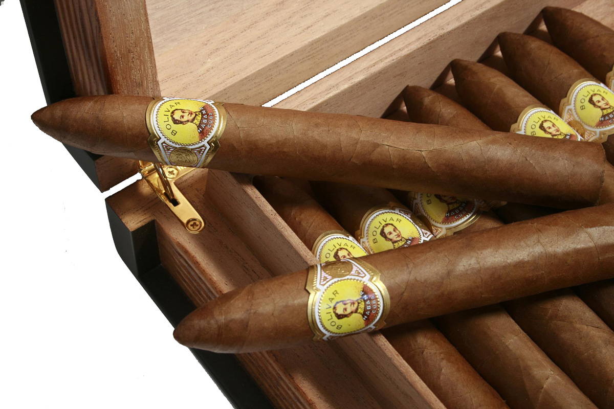 Bolivar Gran Belicoso